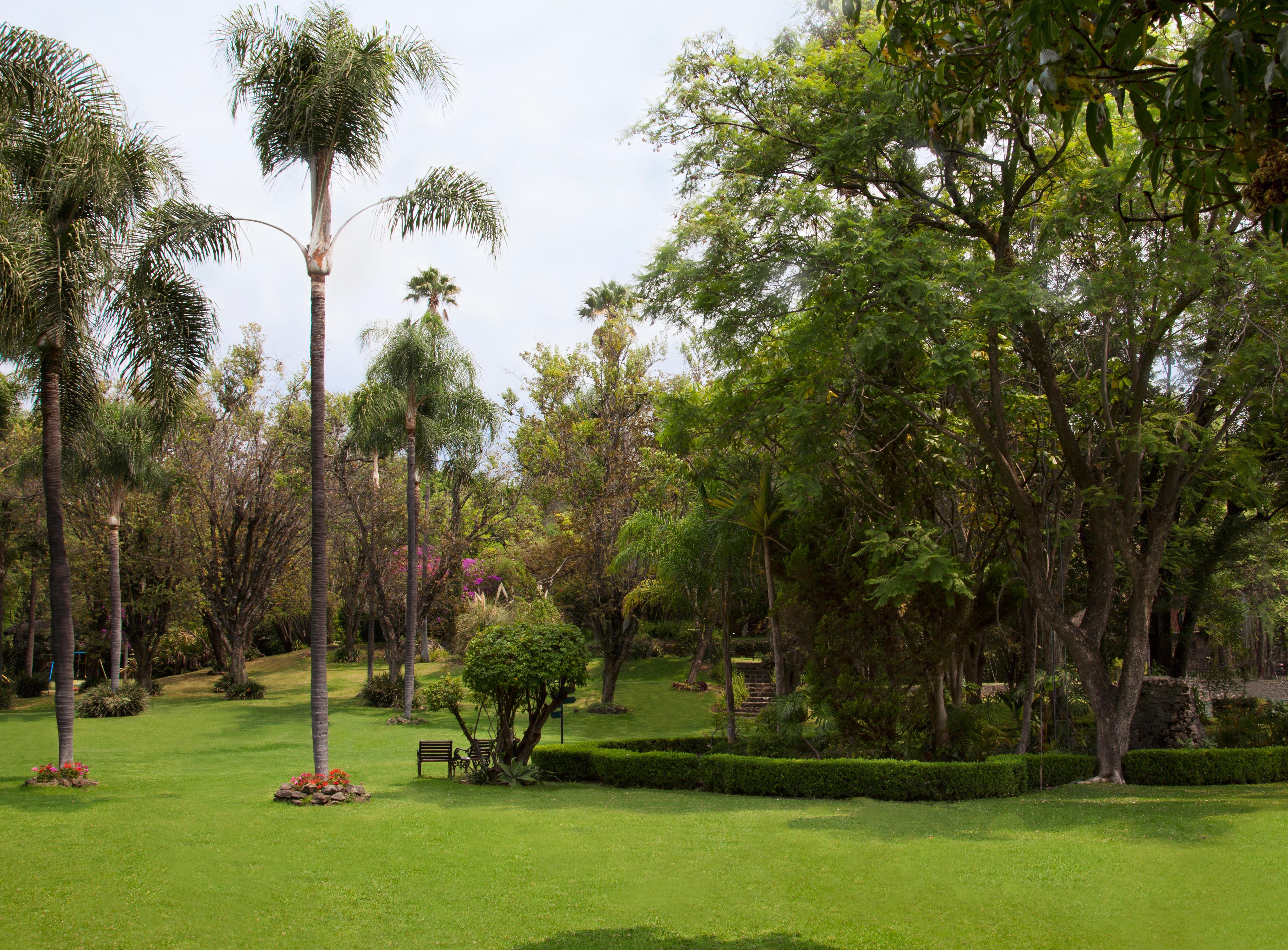 Hotel Racquet Cuernavaca Eksteriør bilde